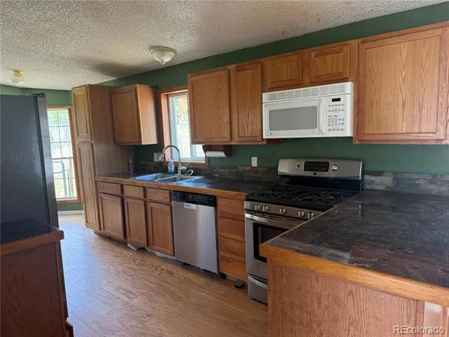 364 Stage Coach Drive Bailey, CO 80421