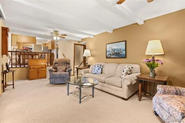 8118 S Marshall Street Littleton, CO 80128