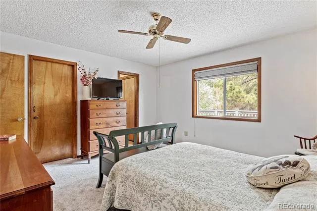 17730 Grama Ridge Colorado Springs, CO 80908
