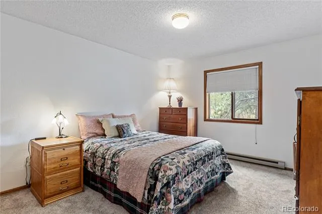17730 Grama Ridge Colorado Springs, CO 80908
