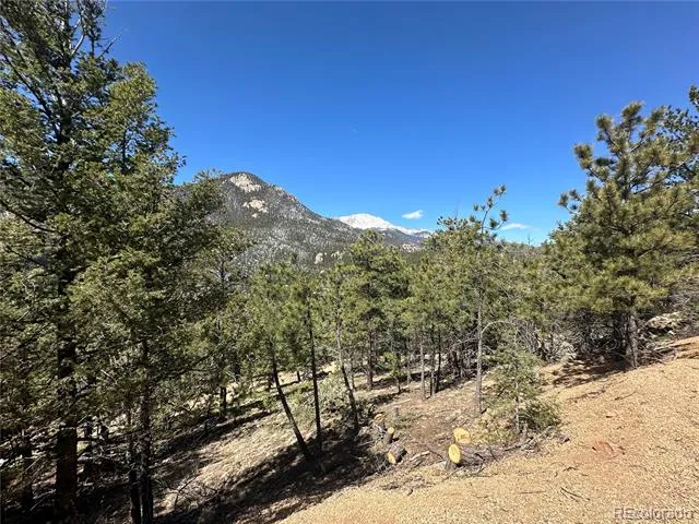 339 Eagle Mountain Road Manitou Springs, CO 80829
