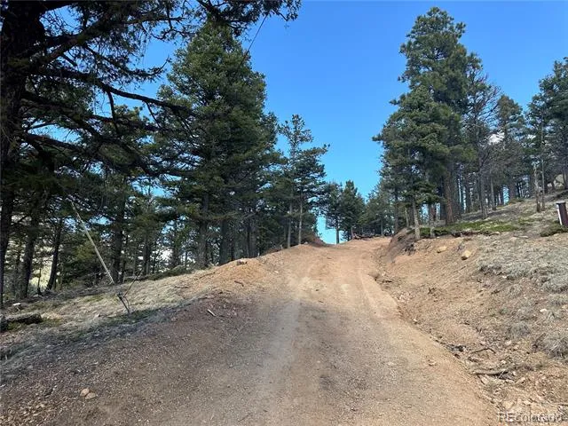 339 Eagle Mountain Road Manitou Springs, CO 80829