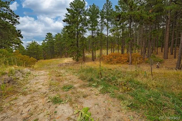14420 S Perry Park Road Larkspur, CO 80118