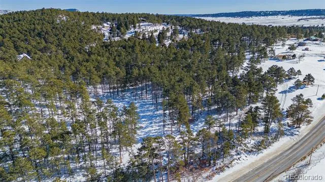 14420 S Perry Park Road Larkspur, CO 80118
