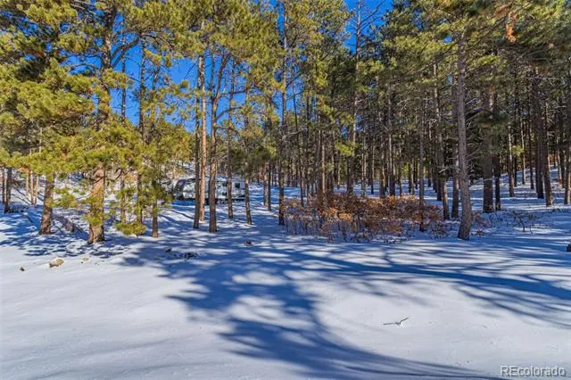 14420 S Perry Park Road Larkspur, CO 80118