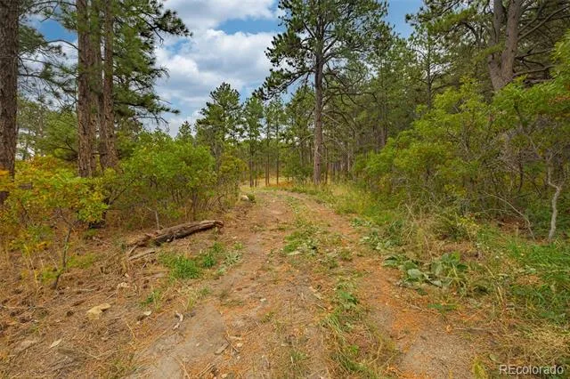 14420 S Perry Park Road Larkspur, CO 80118