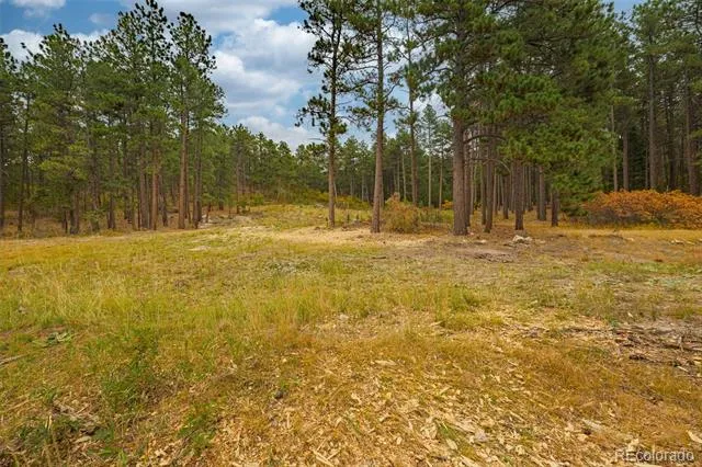14420 S Perry Park Road Larkspur, CO 80118