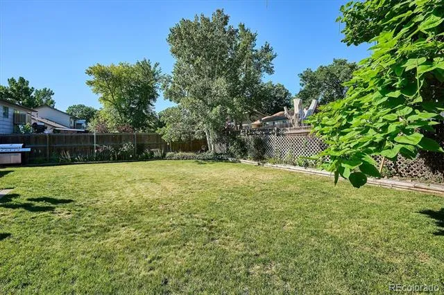 4659 S Alkire Street Morrison, CO 80465