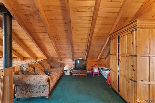 2578 Redhill Road Fairplay, CO 80440
