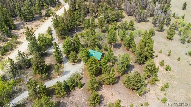 2578 Redhill Road Fairplay, CO 80440