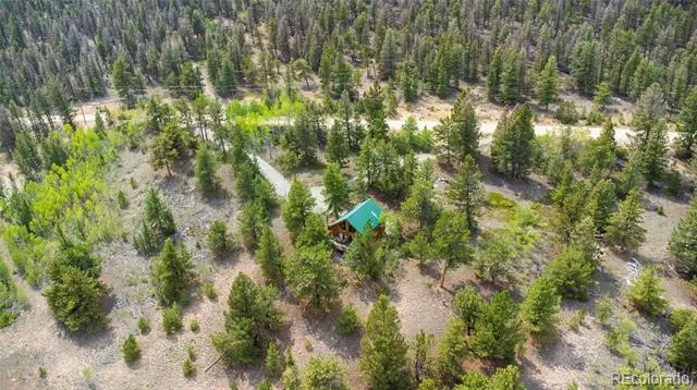 2578 Redhill Road Fairplay, CO 80440