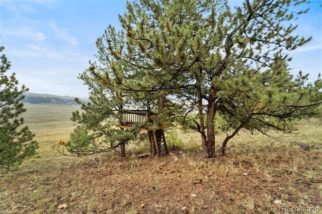 2578 Redhill Road Fairplay, CO 80440
