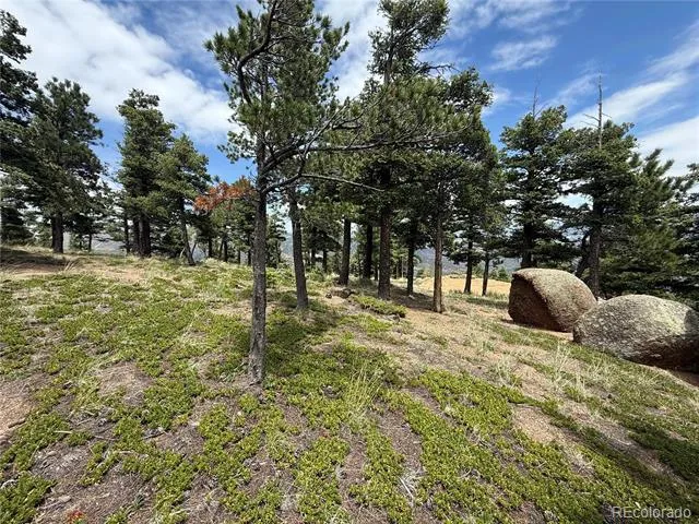 254 Grand Horizon View Manitou Springs, CO 80829