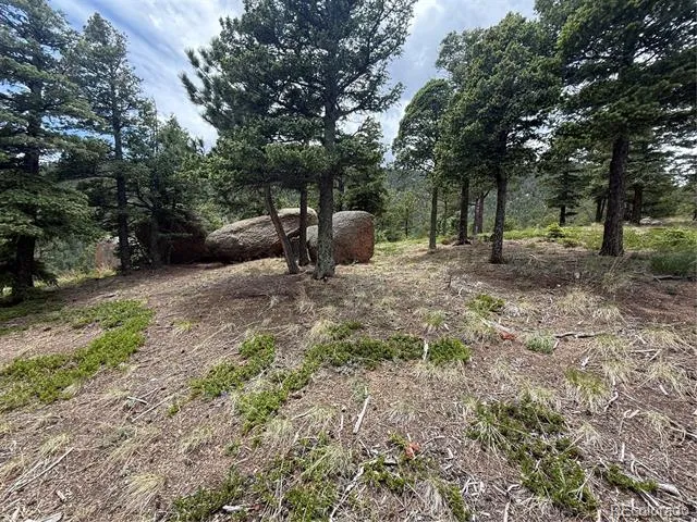 254 Grand Horizon View Manitou Springs, CO 80829