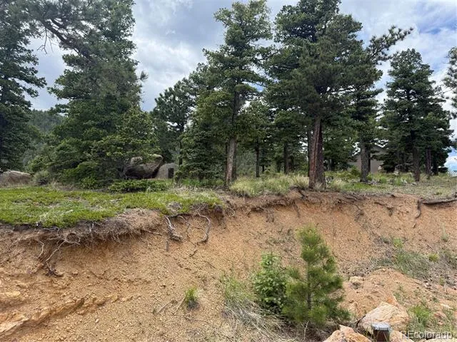 254 Grand Horizon View Manitou Springs, CO 80829