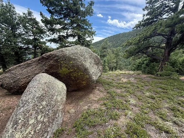 254 Grand Horizon View Manitou Springs, CO 80829