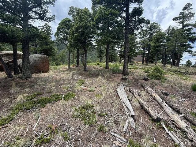 254 Grand Horizon View Manitou Springs, CO 80829