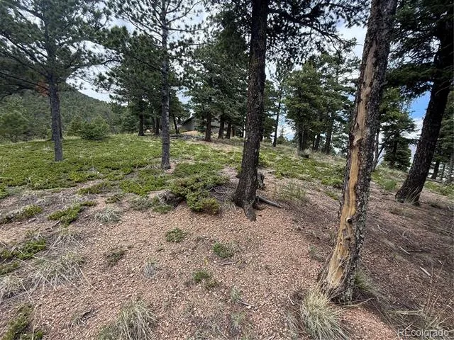 254 Grand Horizon View Manitou Springs, CO 80829