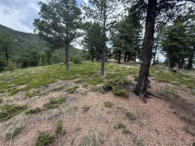 254 Grand Horizon View Manitou Springs, CO 80829