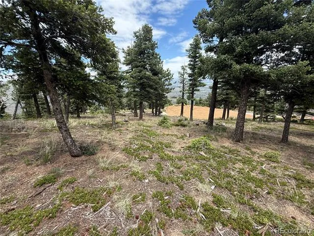 254 Grand Horizon View Manitou Springs, CO 80829
