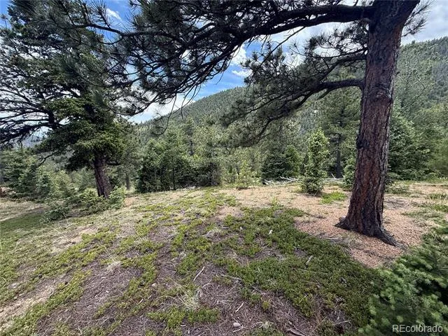 254 Grand Horizon View Manitou Springs, CO 80829
