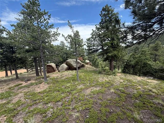 254 Grand Horizon View Manitou Springs, CO 80829
