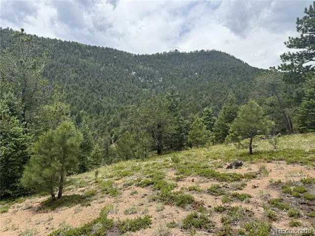 254 Grand Horizon View Manitou Springs, CO 80829