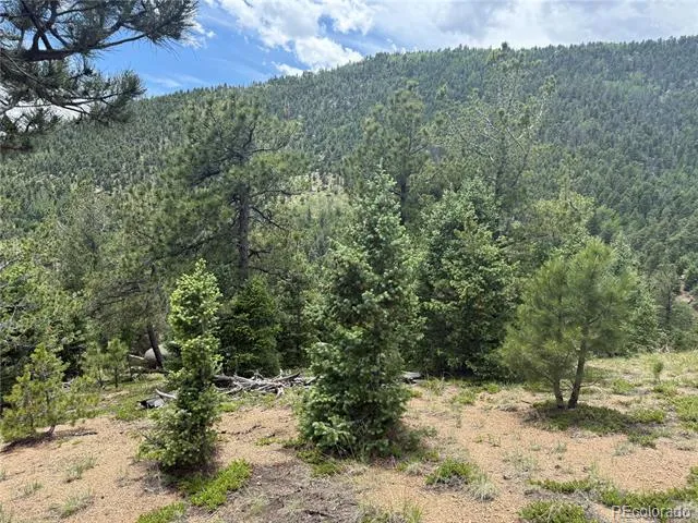 254 Grand Horizon View Manitou Springs, CO 80829