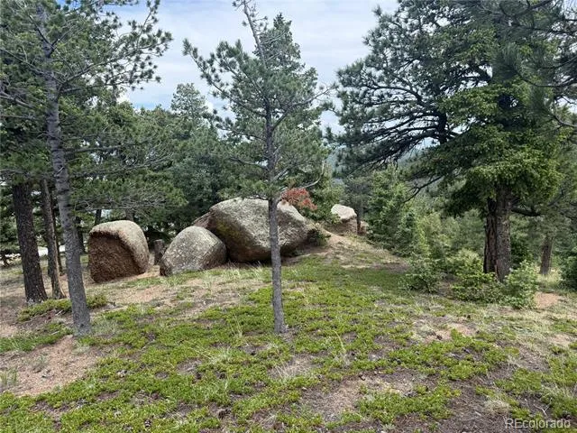 254 Grand Horizon View Manitou Springs, CO 80829