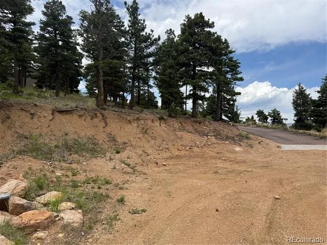 254 Grand Horizon View Manitou Springs, CO 80829