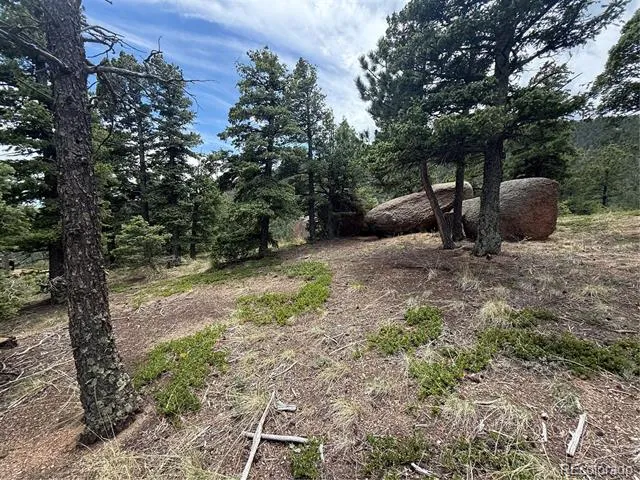 254 Grand Horizon View Manitou Springs, CO 80829