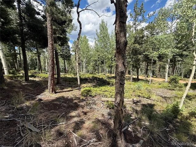 167 Big Bear Road Manitou Springs, CO 80829