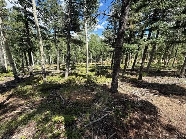 167 Big Bear Road Manitou Springs, CO 80829
