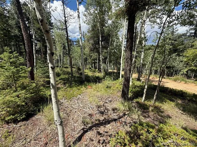 167 Big Bear Road Manitou Springs, CO 80829