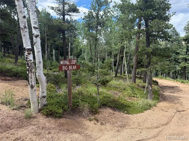 167 Big Bear Road Manitou Springs, CO 80829