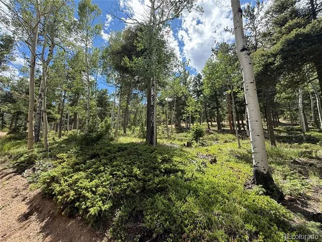 167 Big Bear Road Manitou Springs, CO 80829
