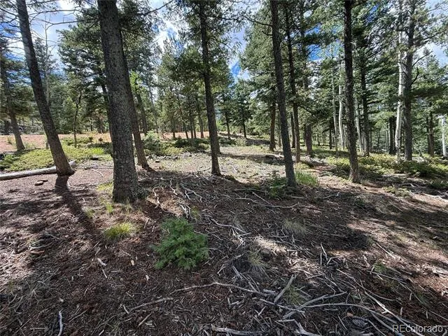 167 Big Bear Road Manitou Springs, CO 80829