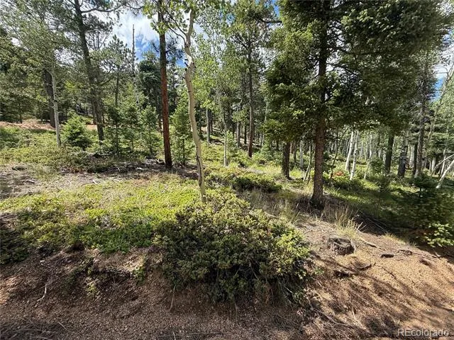 167 Big Bear Road Manitou Springs, CO 80829