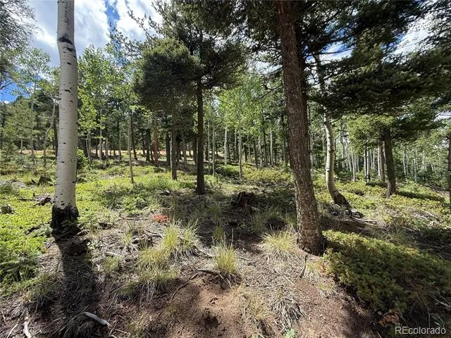 167 Big Bear Road Manitou Springs, CO 80829