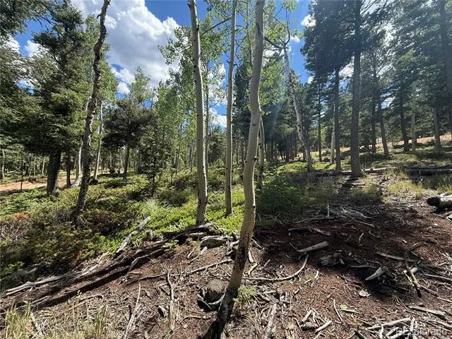 167 Big Bear Road Manitou Springs, CO 80829