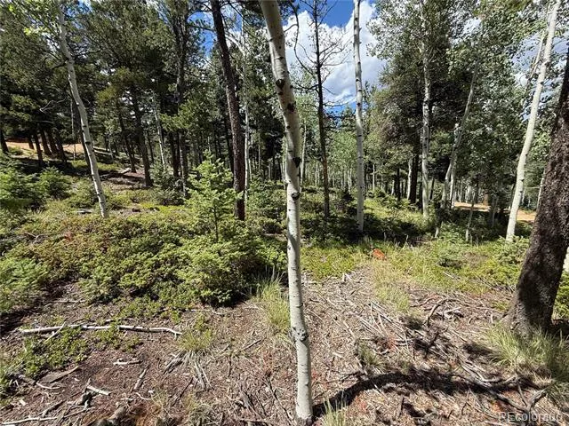 167 Big Bear Road Manitou Springs, CO 80829