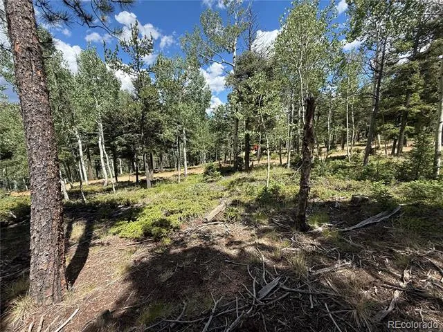 167 Big Bear Road Manitou Springs, CO 80829