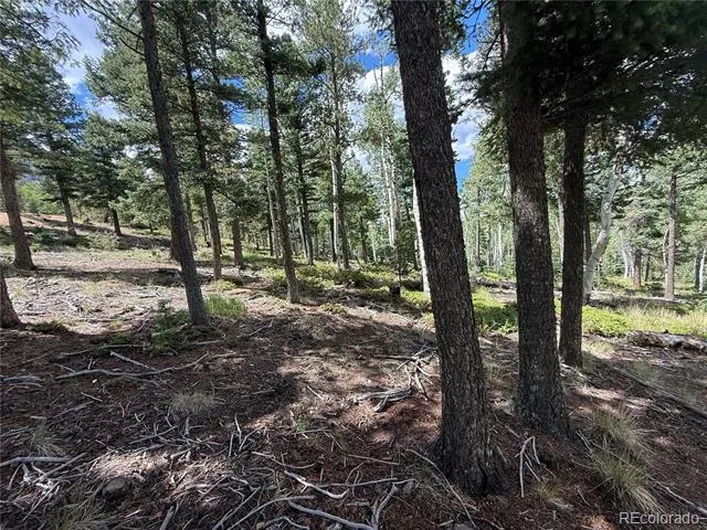 167 Big Bear Road Manitou Springs, CO 80829