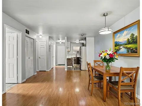 225 E 8th Avenue #6