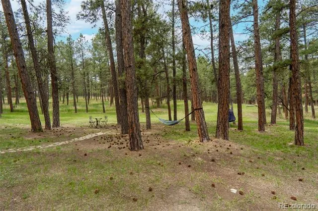 4719 Beaver Ridge Elbert, CO 80106