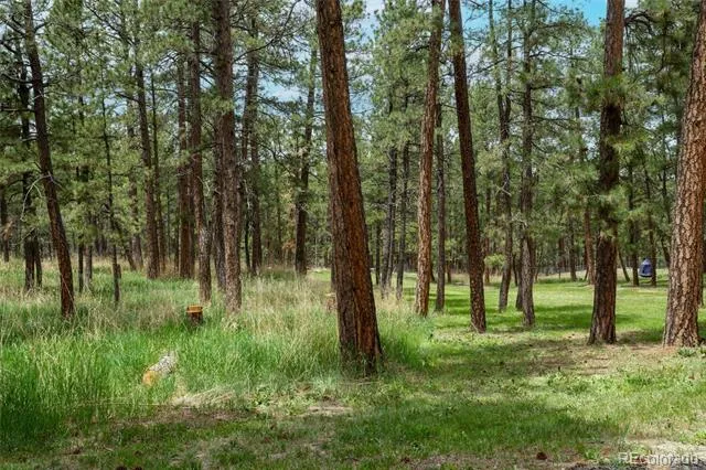 4719 Beaver Ridge Elbert, CO 80106