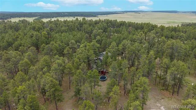 4719 Beaver Ridge Elbert, CO 80106