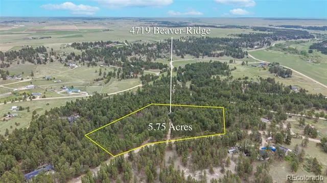 4719 Beaver Ridge Elbert, CO 80106