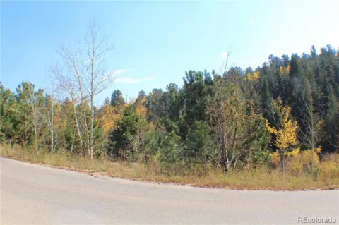 2012 Shelton Drive