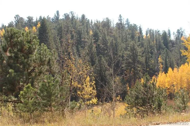 2012 Shelton Drive Bailey, CO 80421